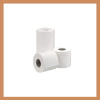 Toilet and Washroom Supplies