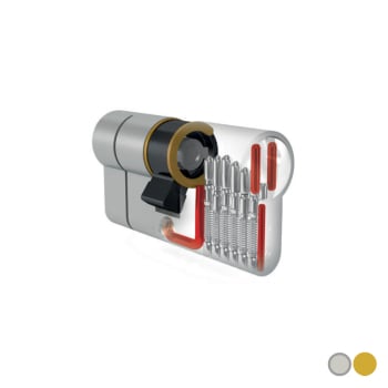 Double Euro Cylinder - ISEO F6 Extra S 1* Double Euro Cylinder - ISEO F6 Extra S 1*