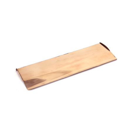 Anvil Polished Bronze Large Letterplate Cover